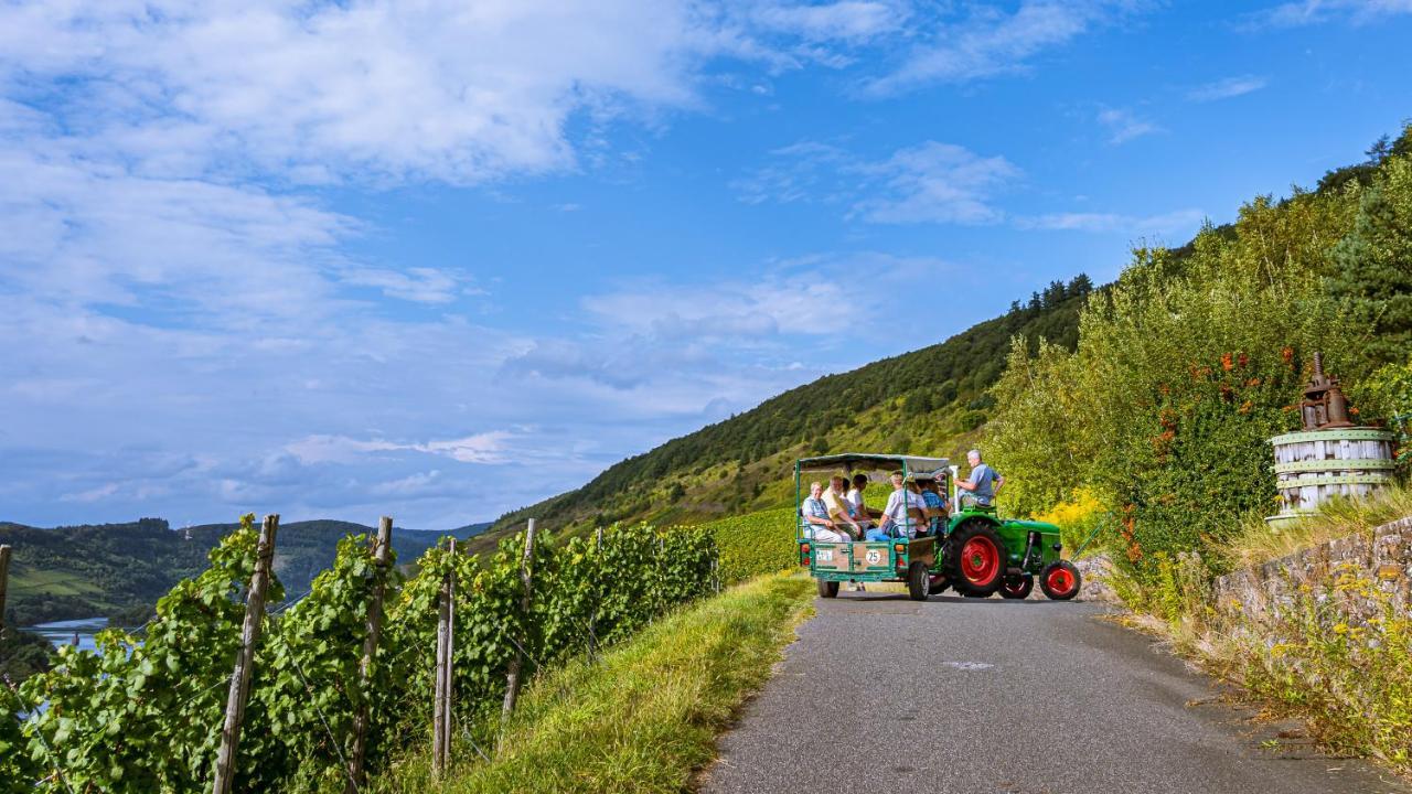 Ferienweingut Hirschen Schulstrasse Bed and Breakfast Burg  Buitenkant foto