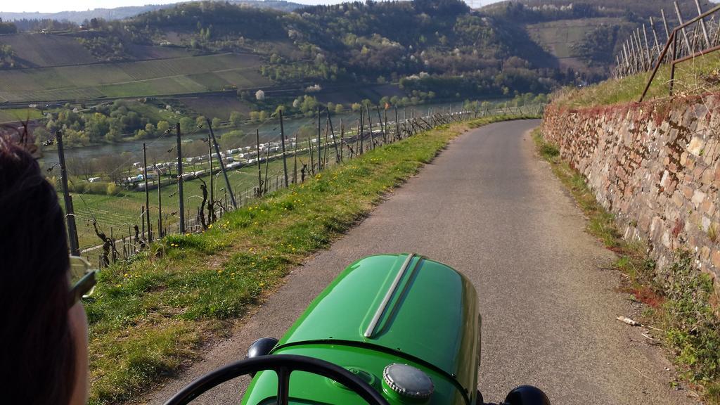 Ferienweingut Hirschen Schulstrasse Bed and Breakfast Burg  Buitenkant foto