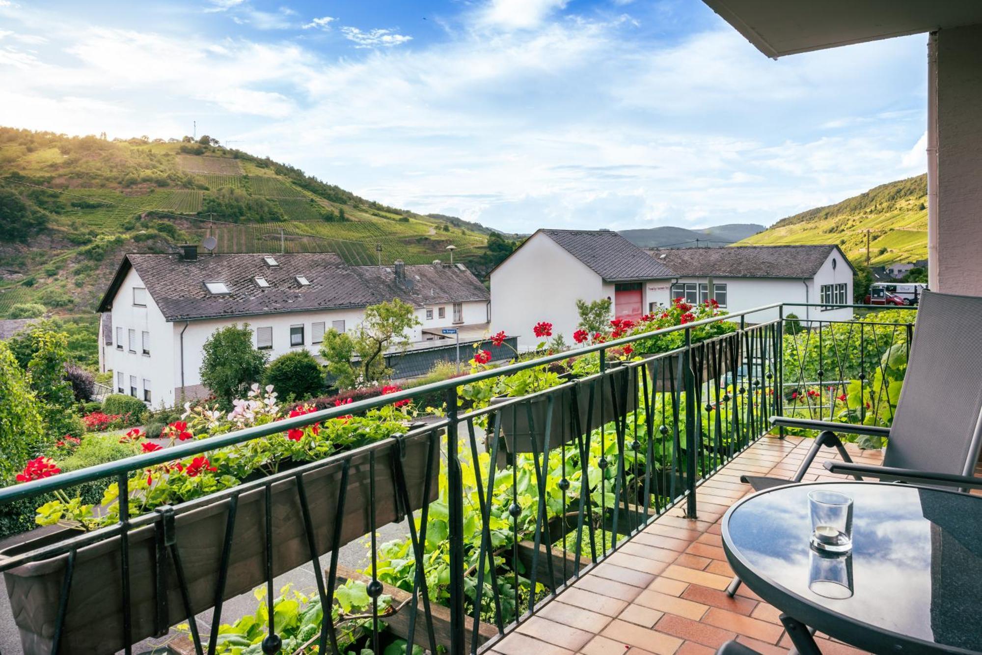 Ferienweingut Hirschen Schulstrasse Bed and Breakfast Burg  Buitenkant foto