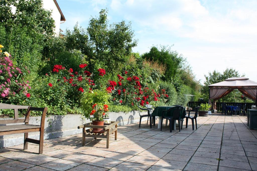 Ferienweingut Hirschen Schulstrasse Bed and Breakfast Burg  Buitenkant foto