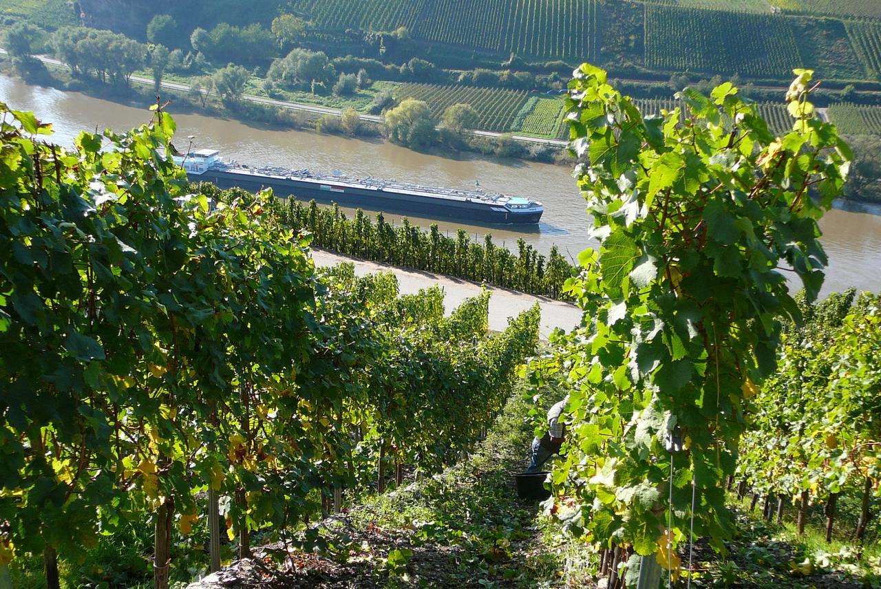 Ferienweingut Hirschen Schulstrasse Bed and Breakfast Burg  Buitenkant foto