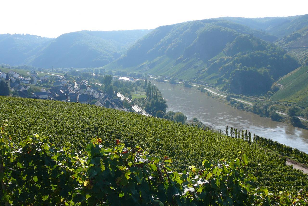 Ferienweingut Hirschen Schulstrasse Bed and Breakfast Burg  Buitenkant foto